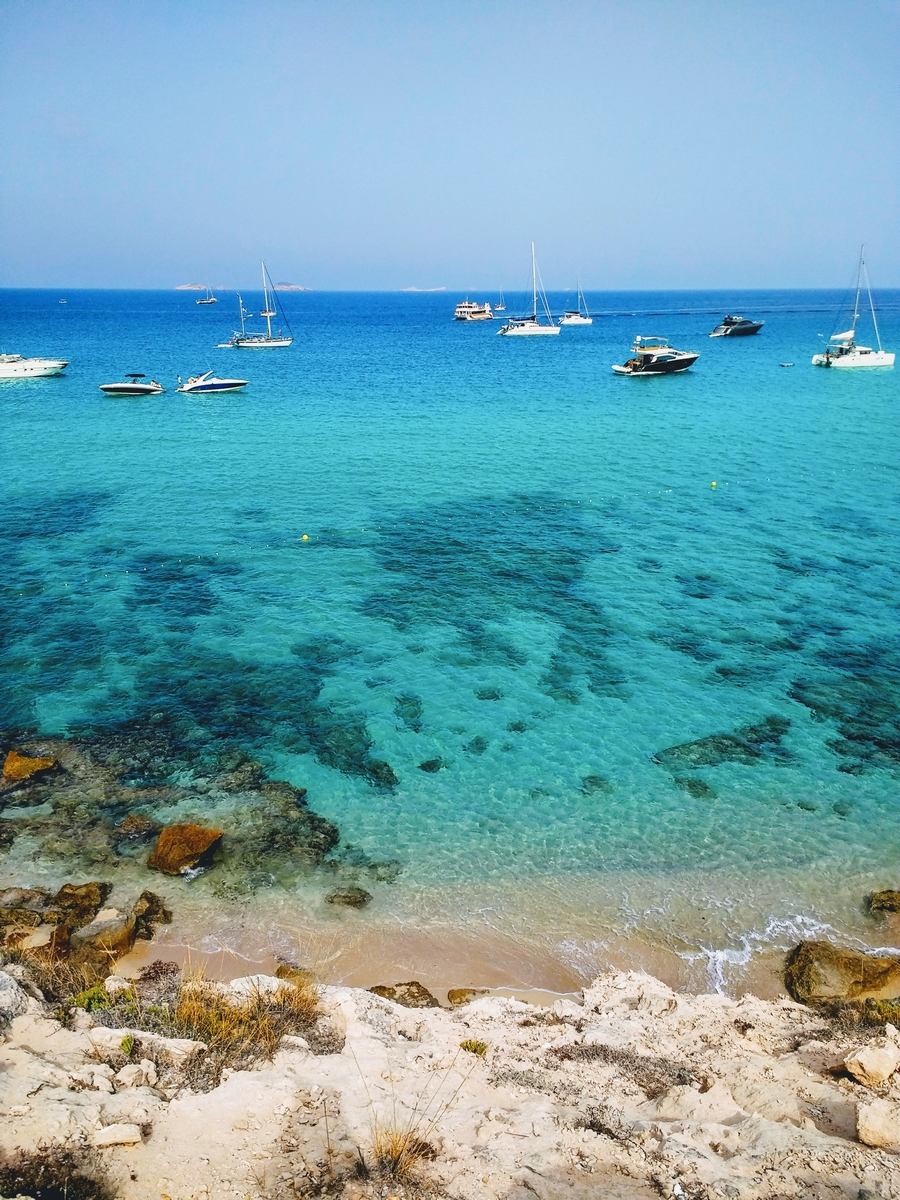 Piscina y entorno Mar Bella Ibiza
