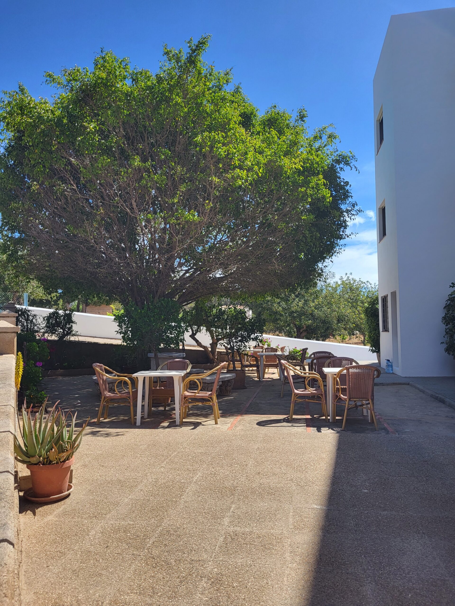Terrazas exteriores y jardines